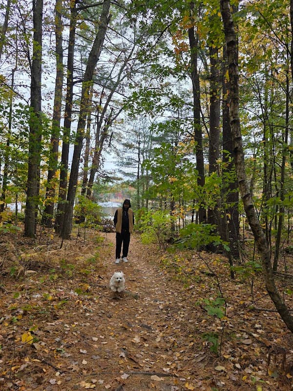 Lovewell's Pond Area - Image 1
