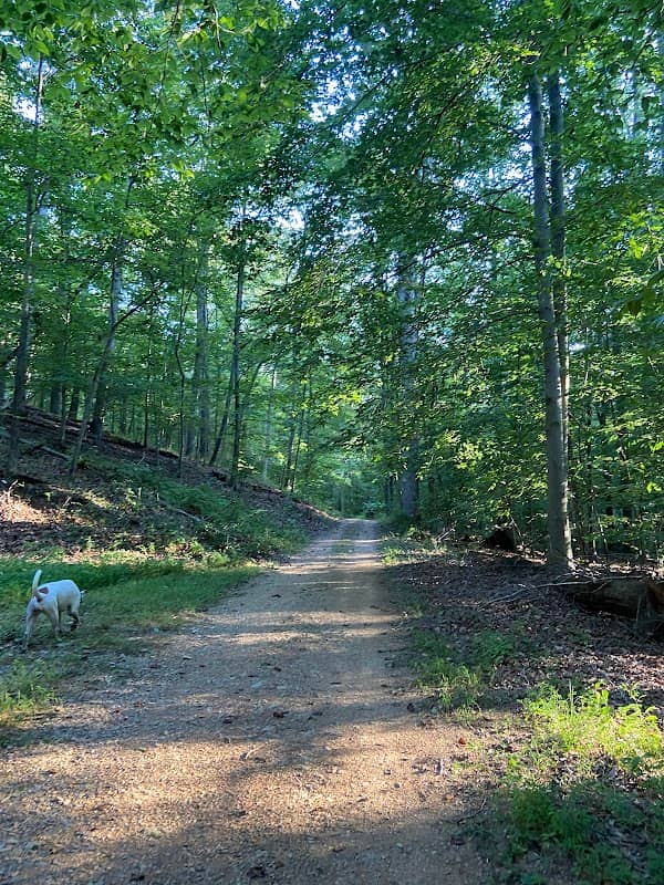 Walkersville Watershed - Image 2