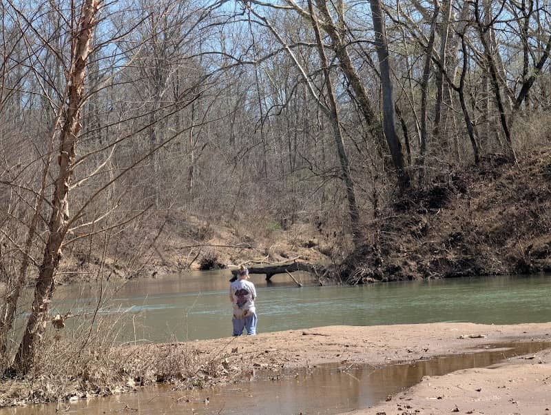 Sweetgum Access - Image 2
