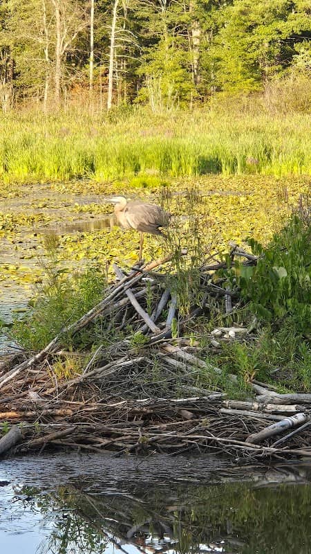 Brickyard Conservation Area - Image 1