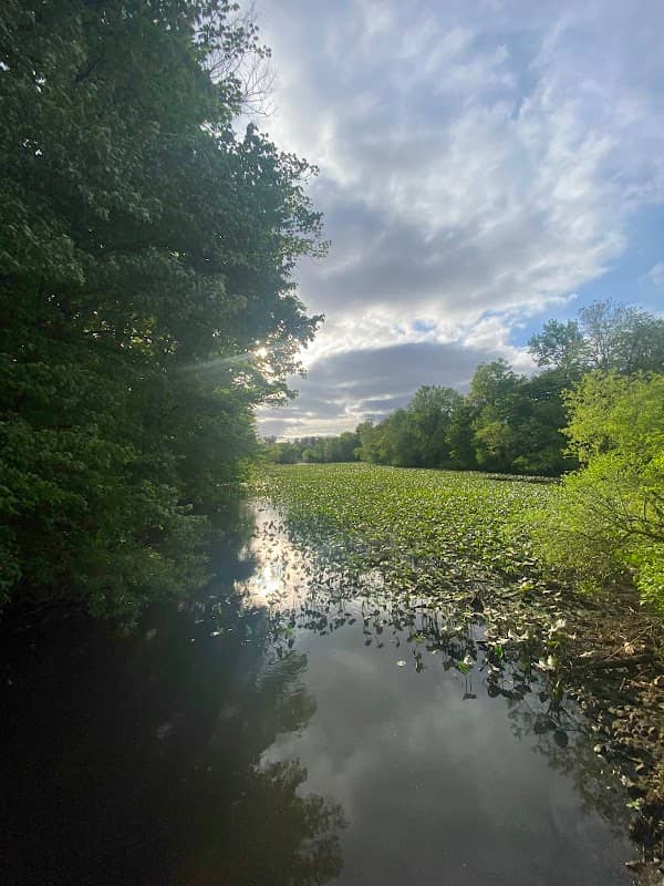 Bell Lake Park - Image 1