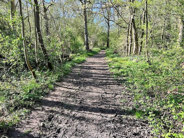 Short Wood and Southwick Wood - Image 1