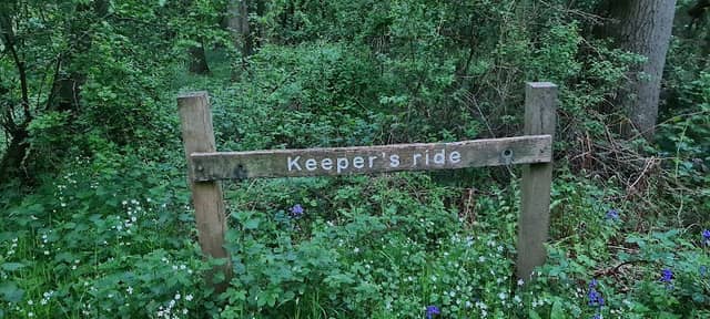 Short Wood and Southwick Wood - Image 2