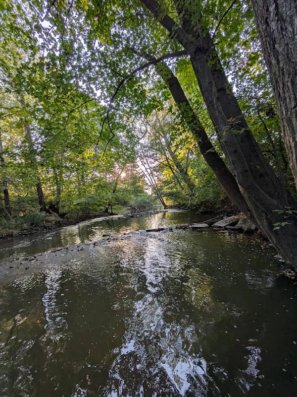 Salt Springs Park - Image 1