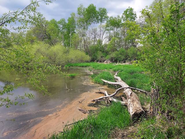 Oxbow Creek Park - Image 1
