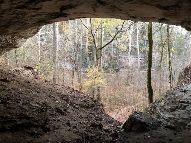 Daniel Boone National Forest - Image 2