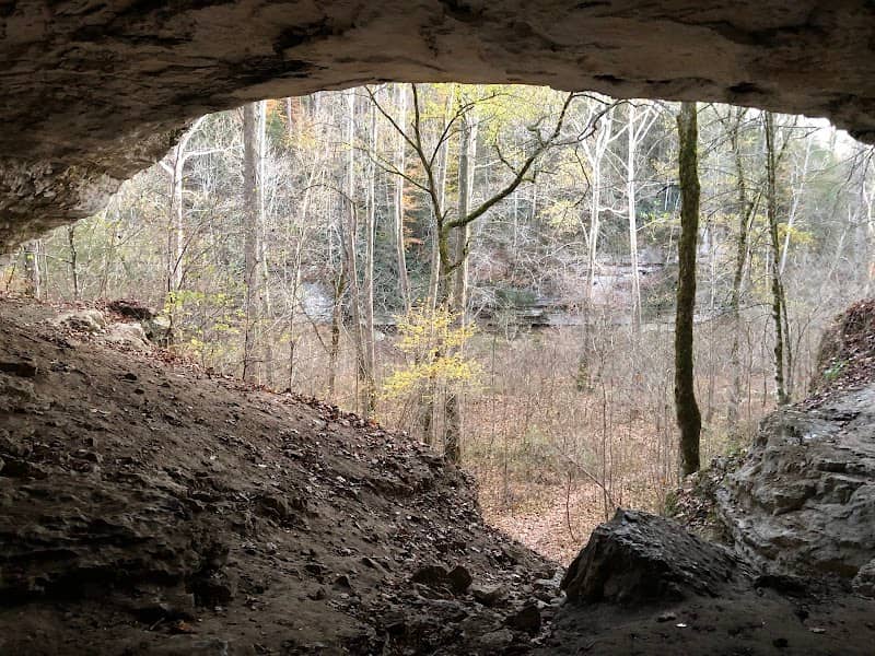 Daniel Boone National Forest - Image 2