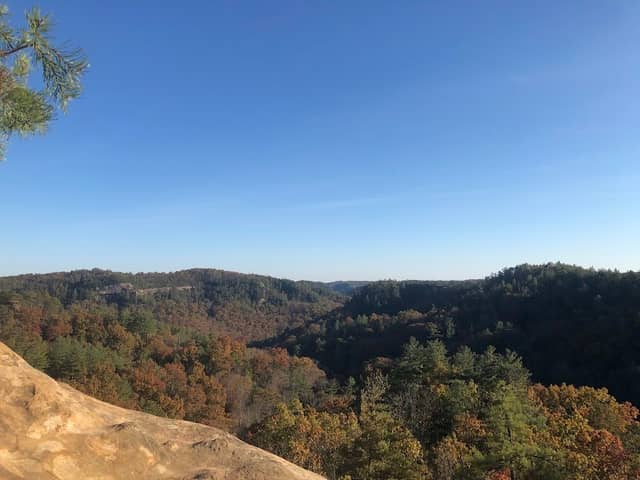 Daniel Boone National Forest - Image 1