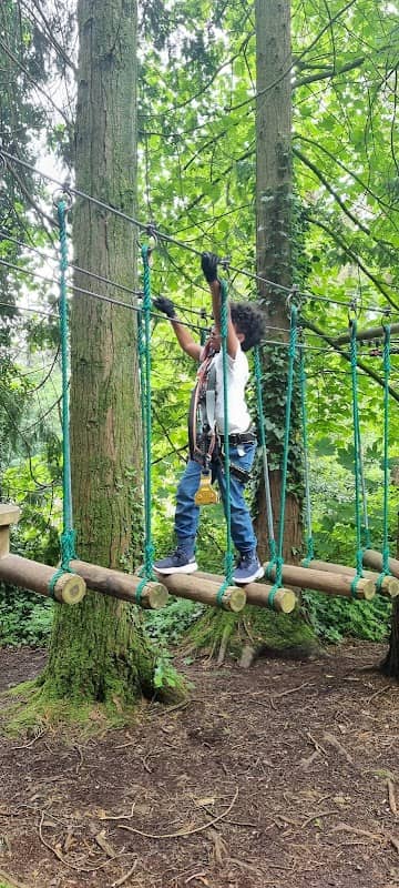 Zipit Forest Adventures - Image 1