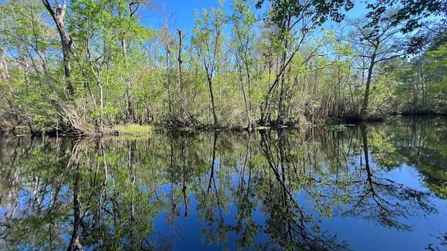 Four Creeks Wildlife Management Area - Image 1