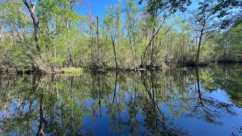 Four Creeks Wildlife Management Area - Image 1