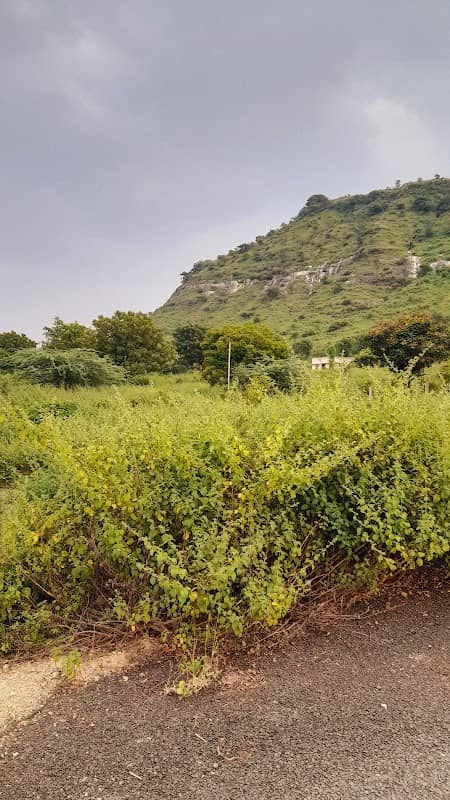 Tiger hills - Image 1