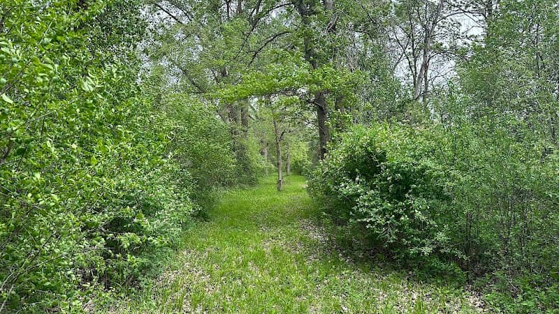 Wapsi Junction Park - Image 1