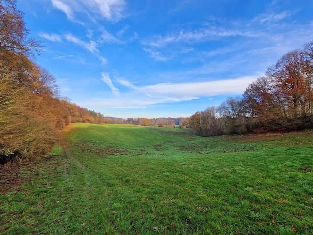 Warnowtal bei Karnin Nature Reserve - Image 1