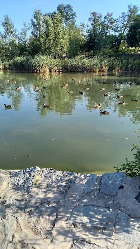 Parco Comunale di via Mascagni - Image 1