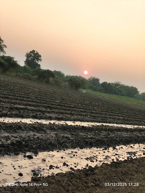 बा की खेती - Image 1