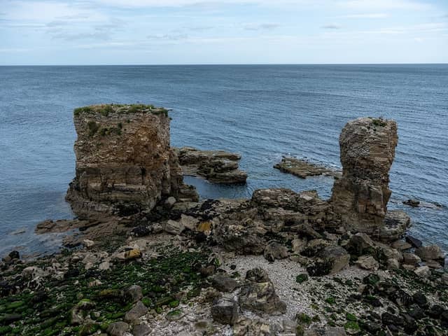 National Trust - Souter Lighthouse and The Leas - Image 3