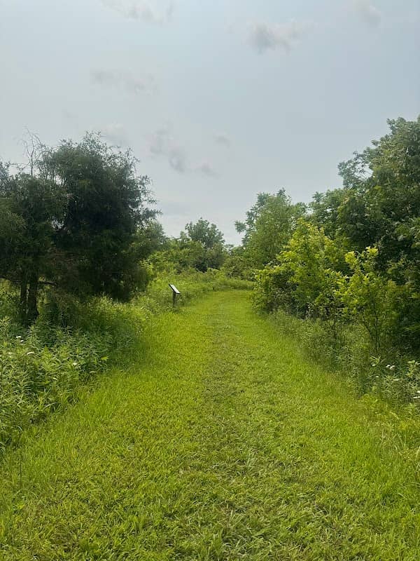 Taylor Fork Ecological Area - Image 2