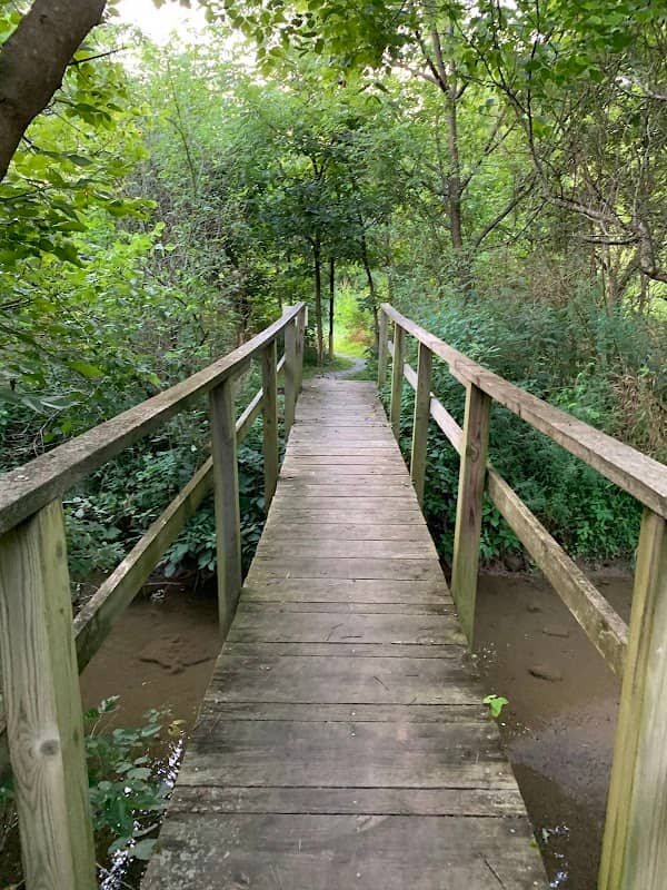 Taylor Fork Ecological Area - Image 1