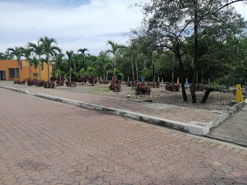 Parque Eco Deportivo "Isla Trinitaria" - Image 1