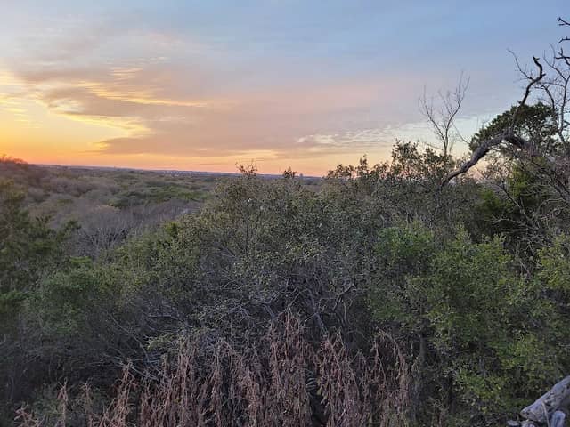 South Hills Conservation Area - Image 2