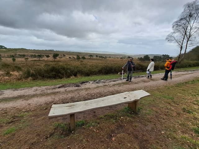 Mike's Bench - Image 1
