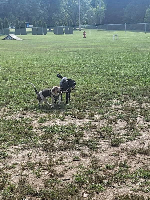 Wadsworth Community Dog Park - Image 1