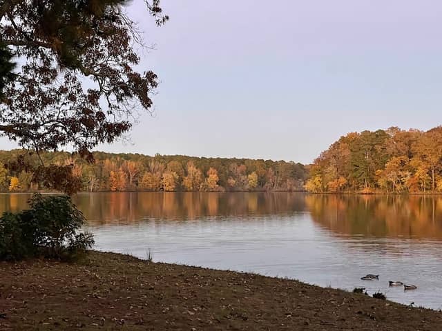 Lake Lowndes State Park - Image 1