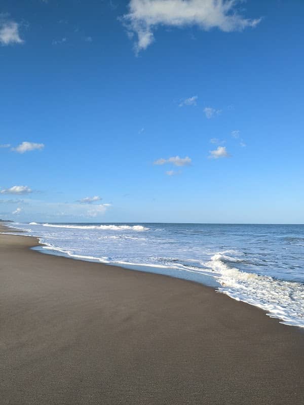 Round Island Oceanside Park - Image 1