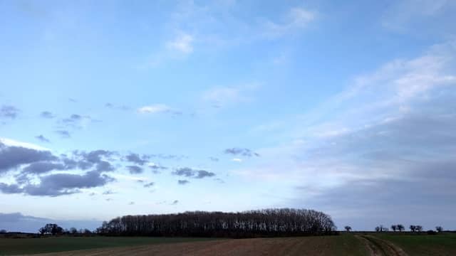 Burcote Wood - Image 1