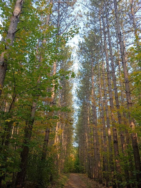 Clarke Tract - Image 2
