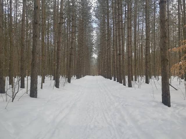 Clarke Tract - Image 1