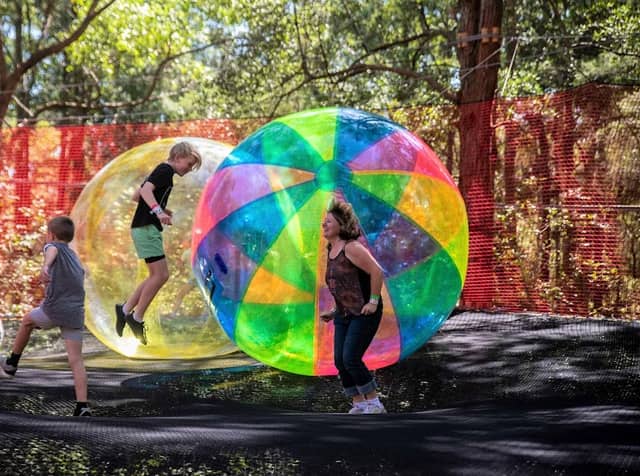 WildNets Adventure Park Port Macquarie - Image 3
