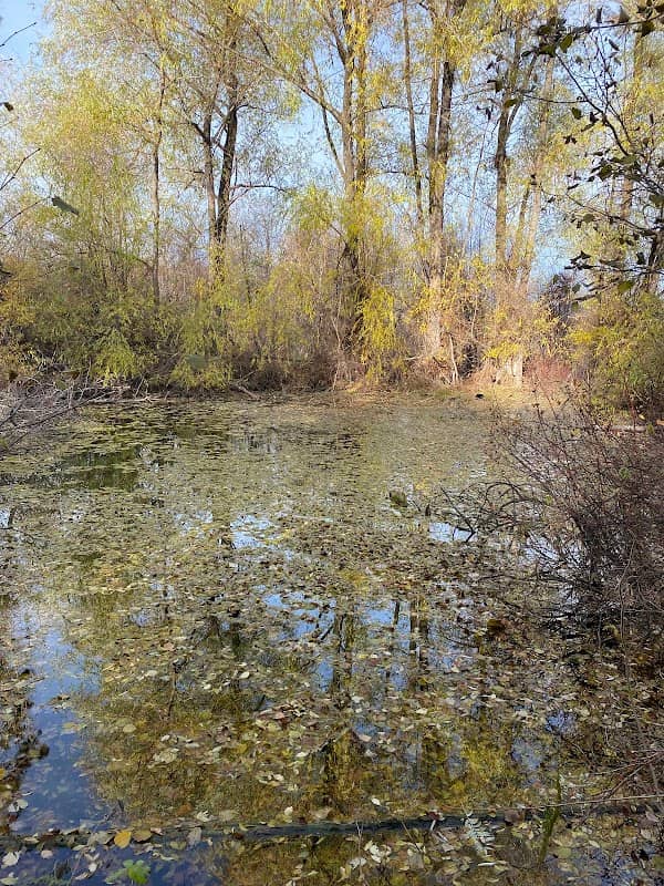 George Mitchell Wildlife Preserve - Image 1