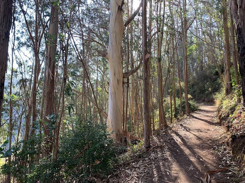 Montara Mountain Trailhead - Image 3
