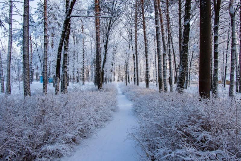 City Park - Image 1