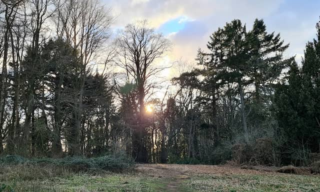 Brandon Halls Woodland Walk - Image 1