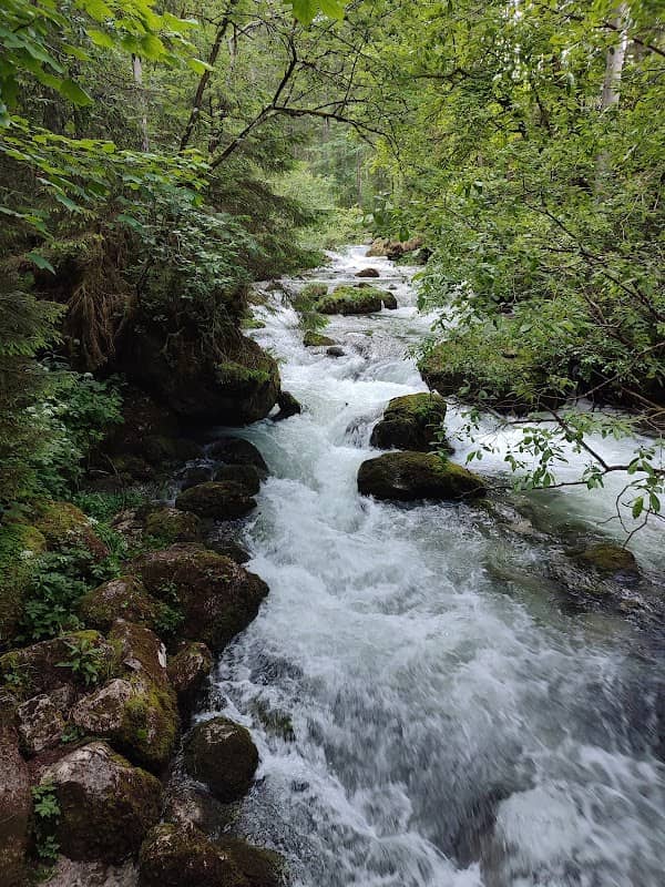 Aubachfall waterfall - Image 3
