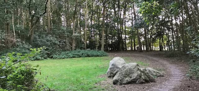 Schulwald Loxstedt - Image 2