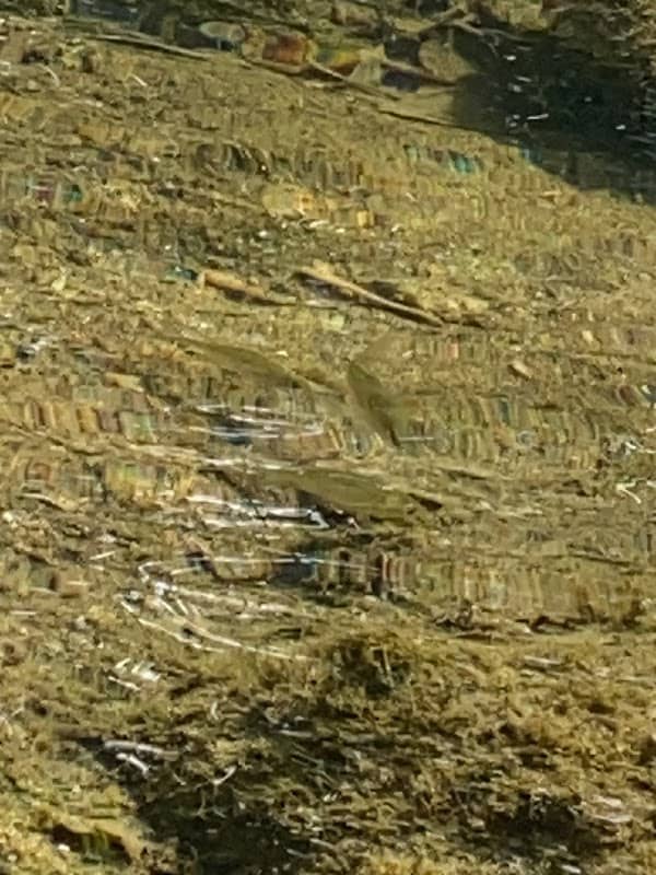 Kracht River Outlet - Image 1