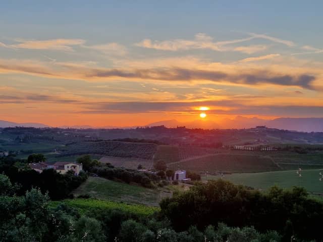 Cipressi di Petroio - Image 3