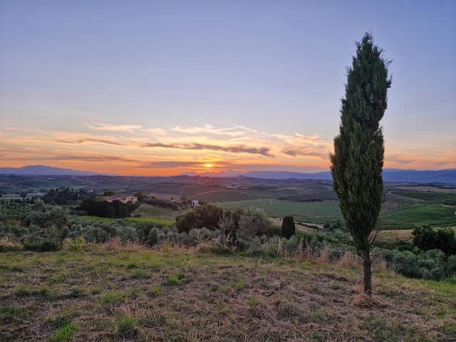 Cipressi di Petroio - Image 1