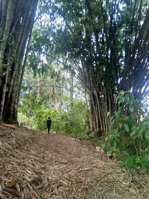 Cascadas Verdes - Image 2