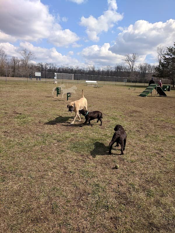 Turkey Hill Park - Image 1