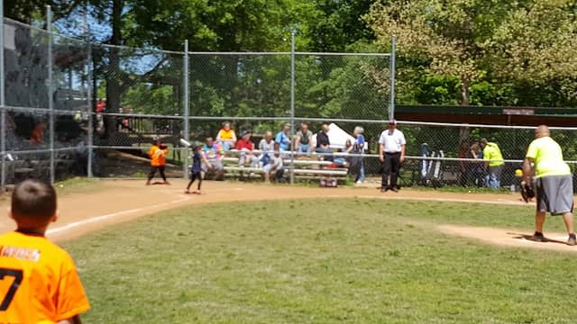 softball - Image 1