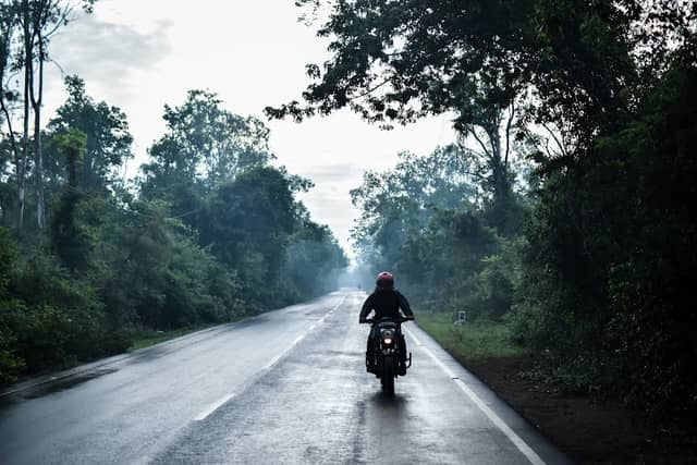 Mylapure Forest. - Image 1
