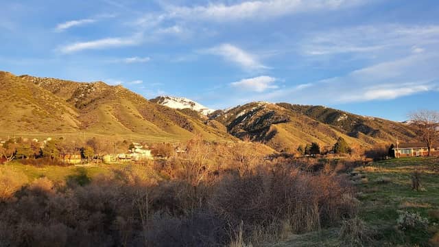 Von Baer Park - Image 1