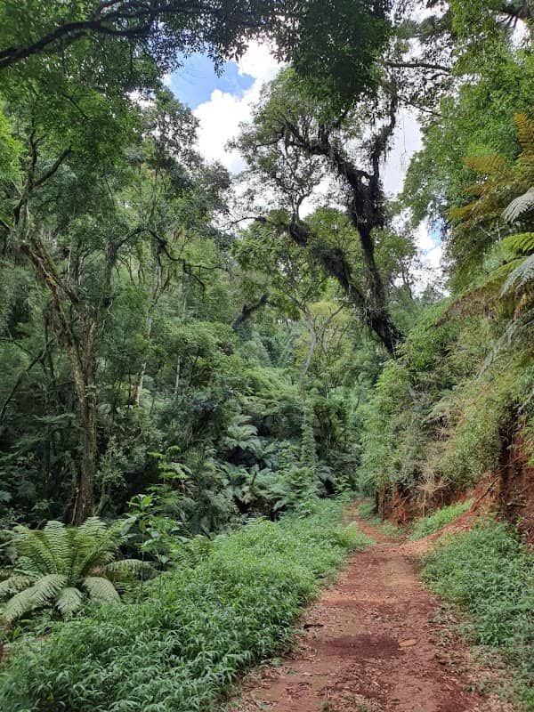 Trilha Ecológica - Image 1