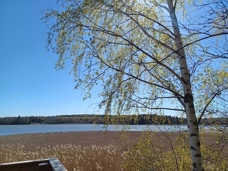 Bird Watching Tower - Image 1