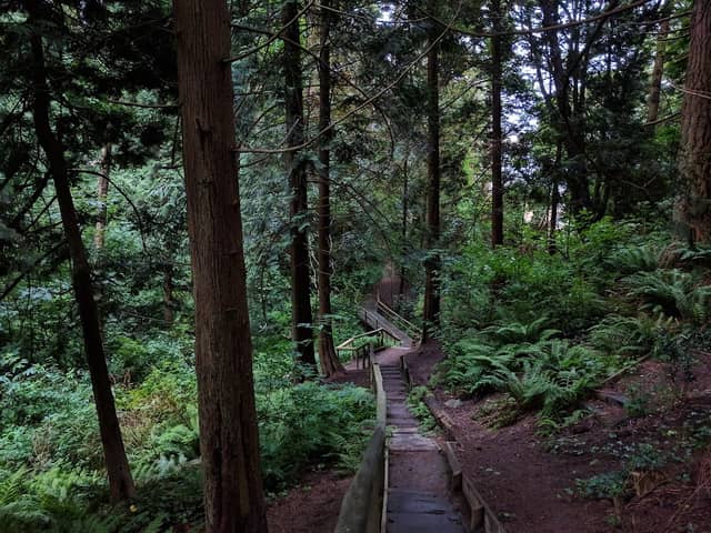 Ruth Johnson Park - Image 2